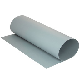 ARCOIRIS PLIEGO FAST COLOR GRIS PERLA