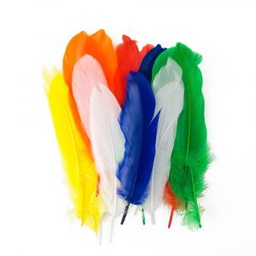 PLUMAS GRANDES FAST COLORES SURTIDOS