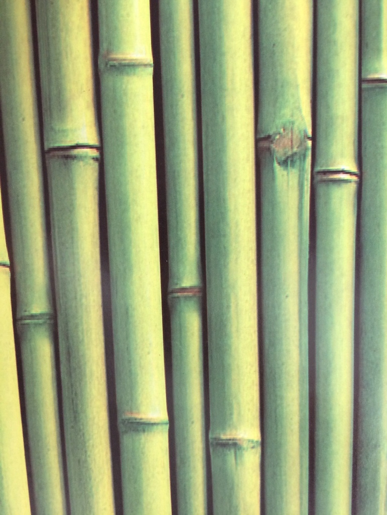 PAPEL LUSTRE DISEÑO DE BAMBU