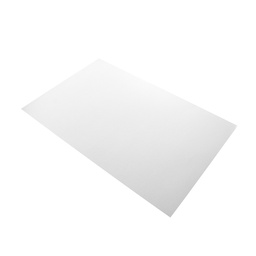 CARTON ILUSTRACION FAST COLOR BLANCO