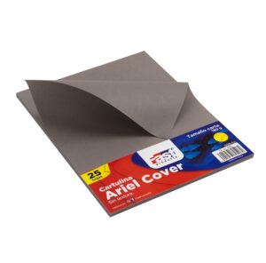 HOJA ARIEL COVER CARTA 180GRS. COLOR GRIS PLOMO (PX25)
