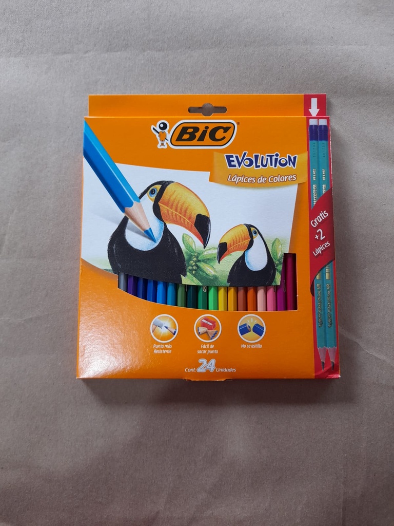 CRAYON DE MADERA BIC EVOLUTION 24 COLORES