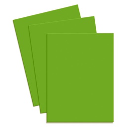 FOAMY HOJA LISA COLOR VERDE LIMON (PX25)