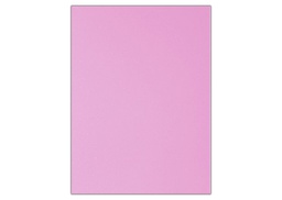 FOAMY HOJA LISA COLOR ROSADO PASTEL (PX25)