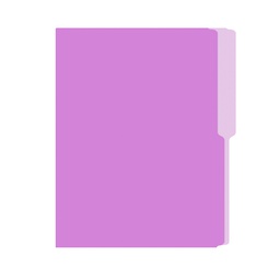 FOLDER IRASA T/CARTA COLOR LILA