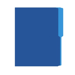 FOLDER IRASA T/CARTA COLOR CELESTE