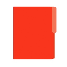 FOLDER IRASA T/CARTA COLOR NARANJA