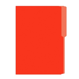 FOLDER IRASA T/OFICIO COLOR NARANJA