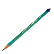 LAPIZ BIC EVOLUTION VERDE