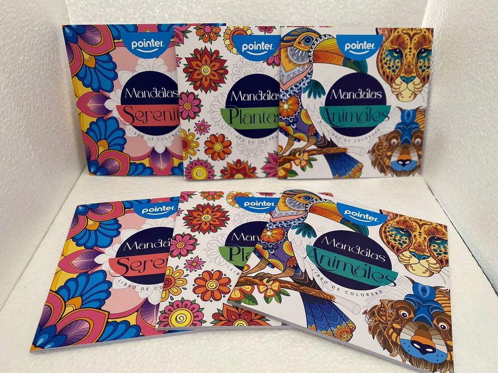LIBRO PARA COLOREAR POINTER MANDALAS DW-20858
