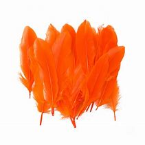 PLUMAS GRANDES FAST  NARANJA