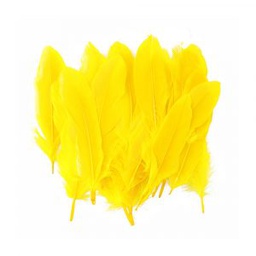PLUMAS FAST GRANDES COLOR AMARILLO (BX24)