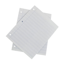 HOJAS DOBLE LINEA TAMAÑO CARTA