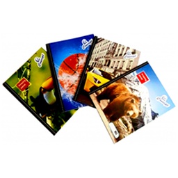 [DIST02046] CUADERNO CONCEPT ENGRAPADO DOBLE LINEA TRAD. 80H (CX148)