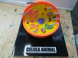 MAQUETA DE LA CELULA ANIMAL