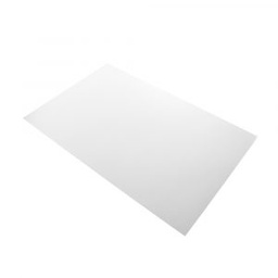 CARTON CORRUGADO PLIEGO BLANCO (PX5)