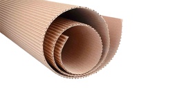 CARTON CORRUGADO PLIEGO PIEL (PX5)