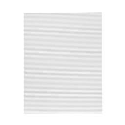 [DIST02319] CARTON CORRUGADO A4 BLANCO (PX10)