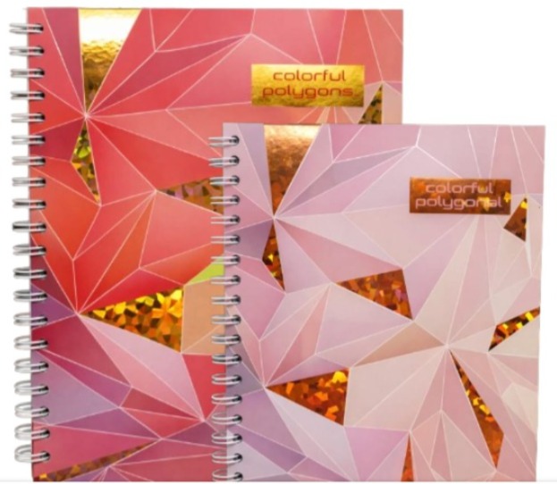 CUADERNO ESPIRAL 100H FAST TD FEMEN/MASCU. RAY/CUA