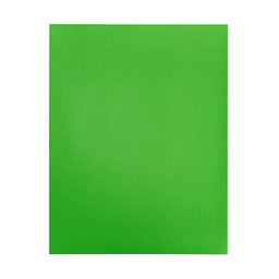 HOJA LINO FAST CARTA  VERDE (PARROT) 230