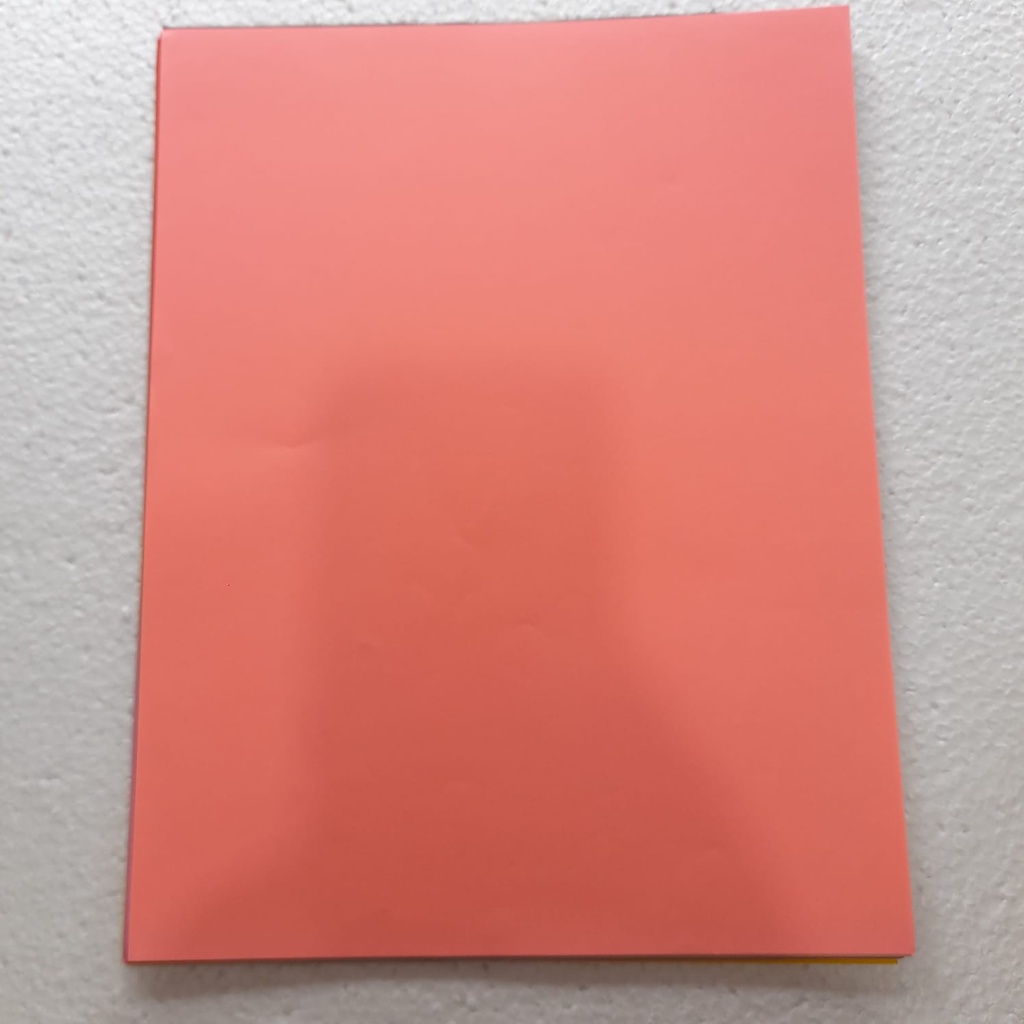 PAPEL BOND OFICIO ROSADO FLUO