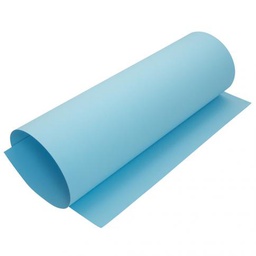 [DIST04223] CARTULINA ELLE ERRE 220 GRS.  CELESTE CLARO