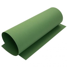 [DIST04228] CARTULINA ELLE ERRE 220 GRS.  VERDE OBSCURO