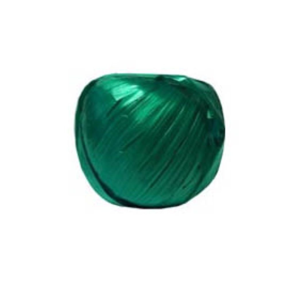 RAFIA PLASTICA VERDE BANDERA (11A)