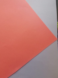 [DIST04339] BOND EN PLIEGO 80GR  ROSADO FLUO