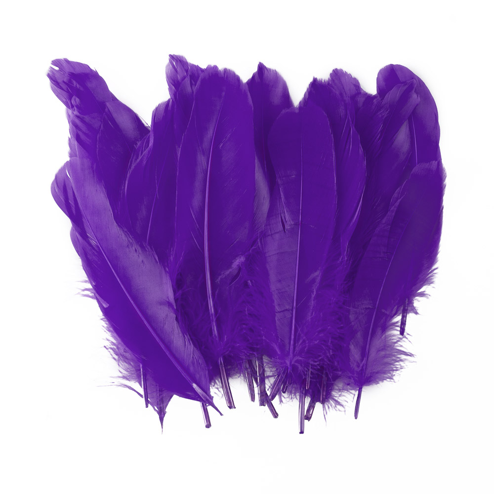 PLUMAS FAST GRANDES COLOR MORADO (BX24)