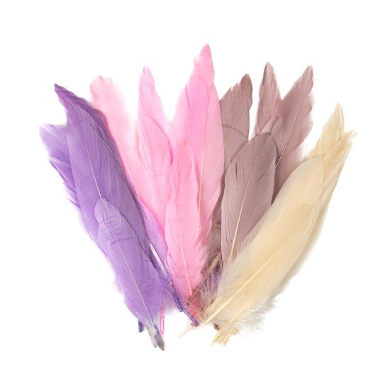 PLUMAS FAST GRANDE COLORES PASTEL (BX24)