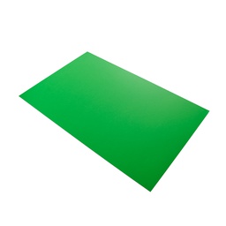 [DIST00059] CARTON ILUSTRACION FAST B527 COLOR VERDE
