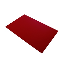 [DIST00250] CARTON ILUSTRACION FAST COLOR ROJO