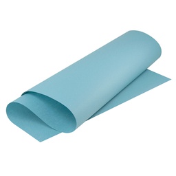 [DIST00364] CARTULINA CONSTRUCCION EN PLIEGO CELESTE