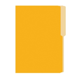 [DIST00873] FOLDER IRASA T/OFICIO COLOR AMARILLO ORO