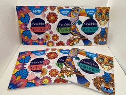 [DIST01172] LIBRO PARA COLOREAR POINTER MANDALAS DW-20858