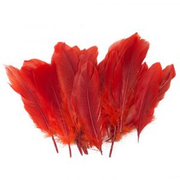 [DIST01656] PLUMAS GRANDES FAST  ROJO