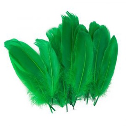 [DIST01657] PLUMAS FAST GRANDES COLOR VERDE (BX24)