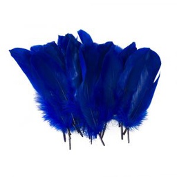 [DIST01658] PLUMAS FAST GRANDES COLOR AZUL (BX24)