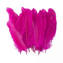 [DIST01660] PLUMAS FAST GRANDES COLOR FUCSIA (BX24)