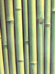 [DIST02938] PAPEL LUSTRE DISEÑO DE BAMBU