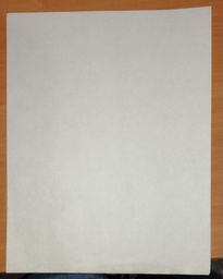 [DIST03609] PAPEL SEGURIDAD PARA PATENTES