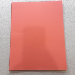 [DIST03913] PAPEL BOND CARTA ROSADO FLUO