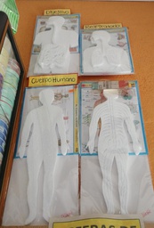 [DIST03938] FIGURA DUROPORT SISTEMA NERVIOSO