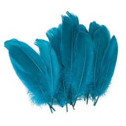 [DIST05356] PLUMAS FAST GRANDES COLOR TURQUEZA (BX24)