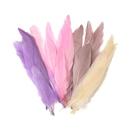 [DIST04636] PLUMAS FAST GRANDE COLORES PASTEL (BX24)