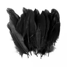 [DIST04637] PLUMAS FAST GRANDES COLOR NEGRO (BX24)